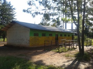 It is quite common for the classrooms to have the outside walls decorated with educational materials, but no the inside.